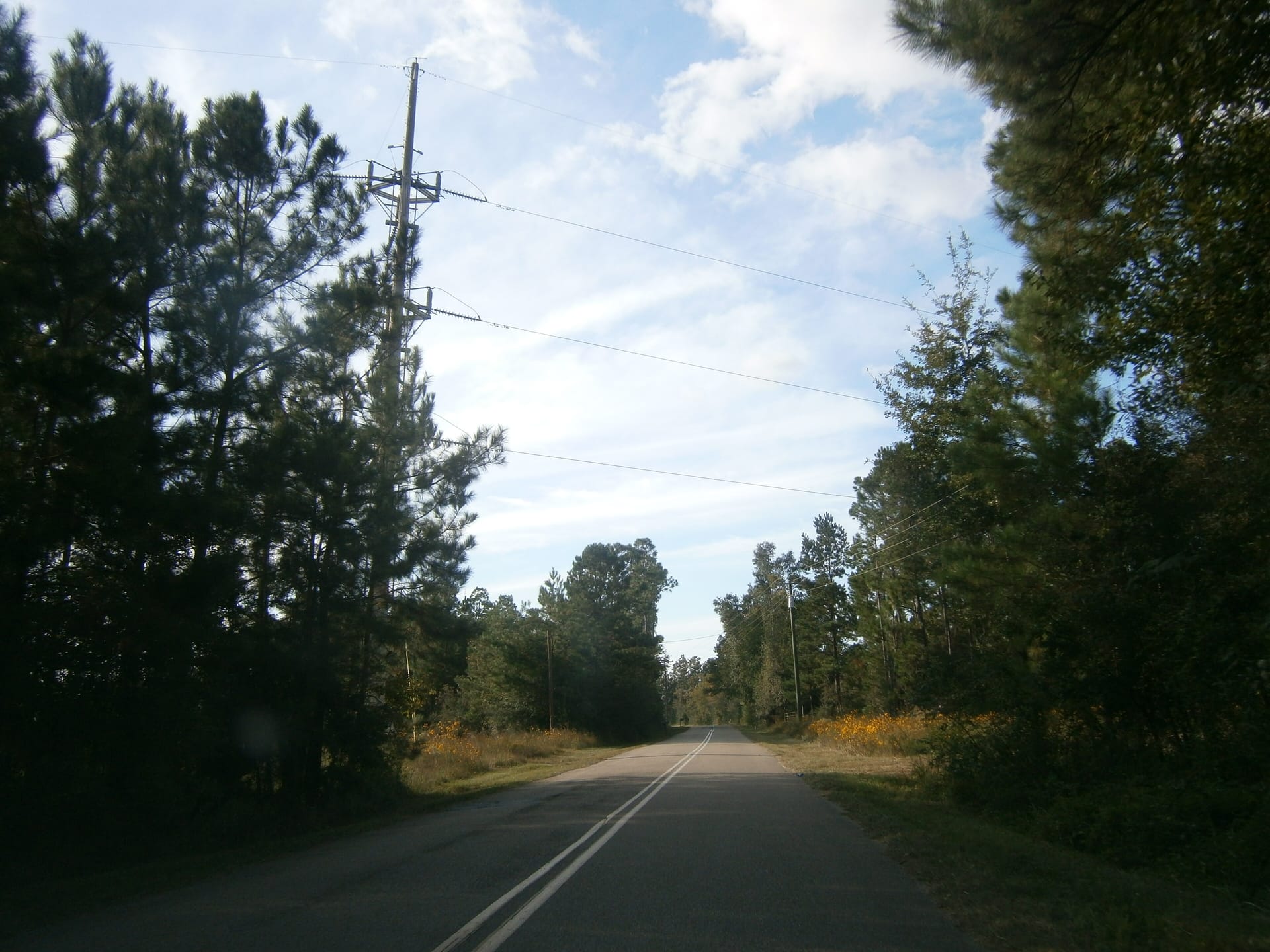 Derby White Sand Road running between tall pines outside Poplarville.