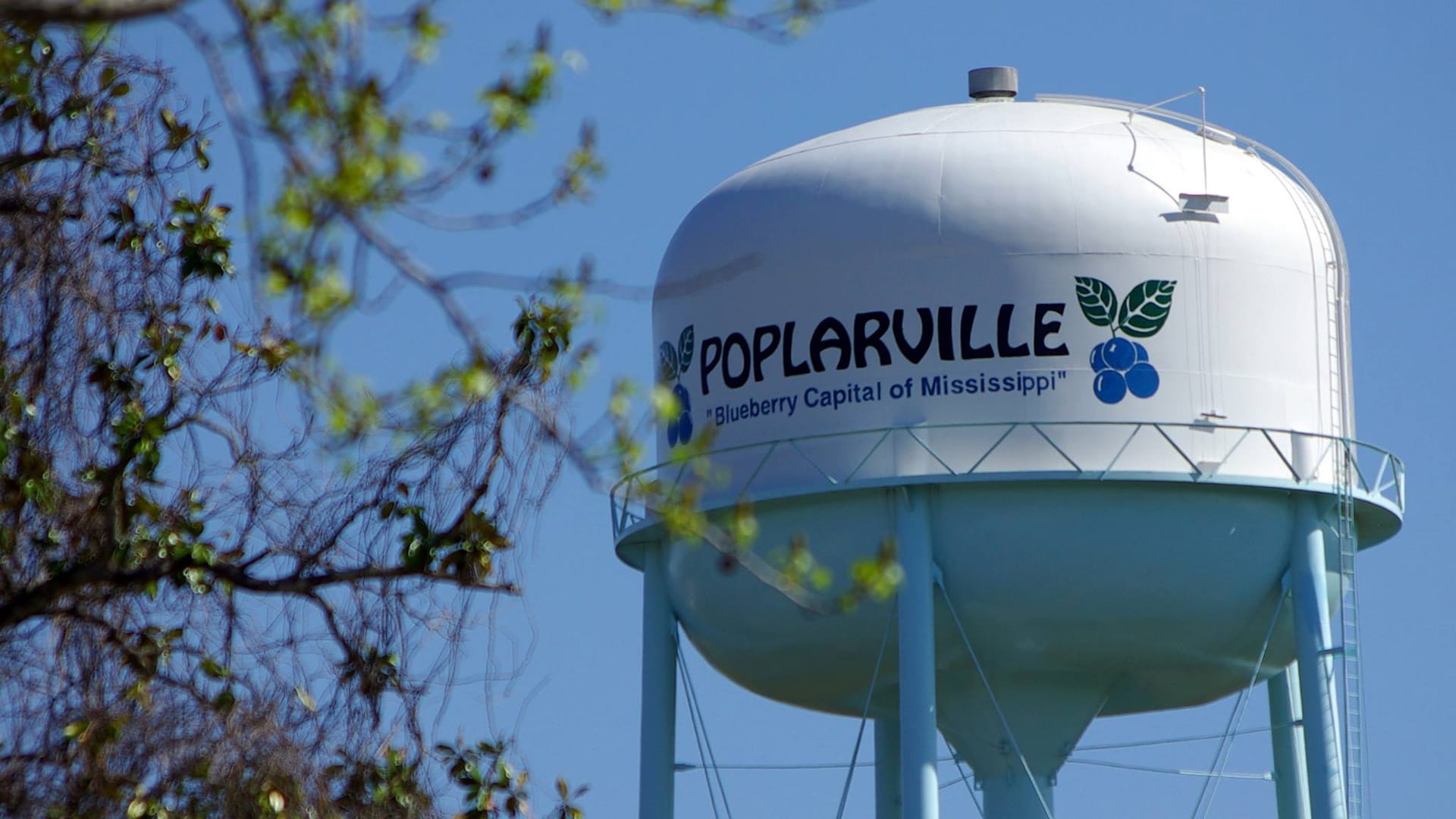 The Poplarville water tower against a blue sky, painted with the city name and the words Blueberry Capital of Mississippi.